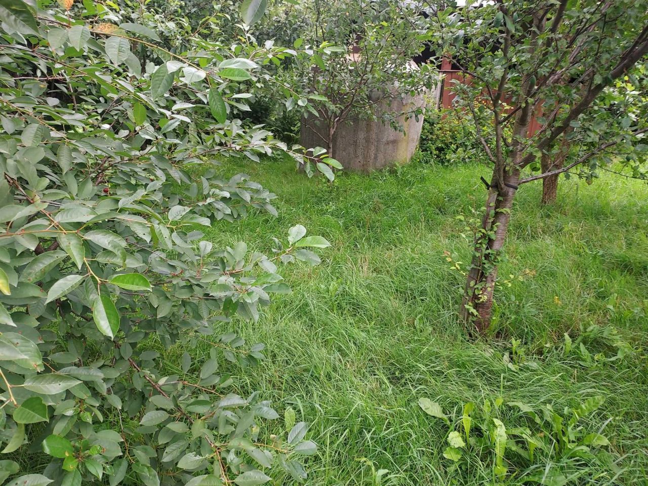 Działka rod Lublin Czechów, ul. Koncertowa. Zdjęcie 5