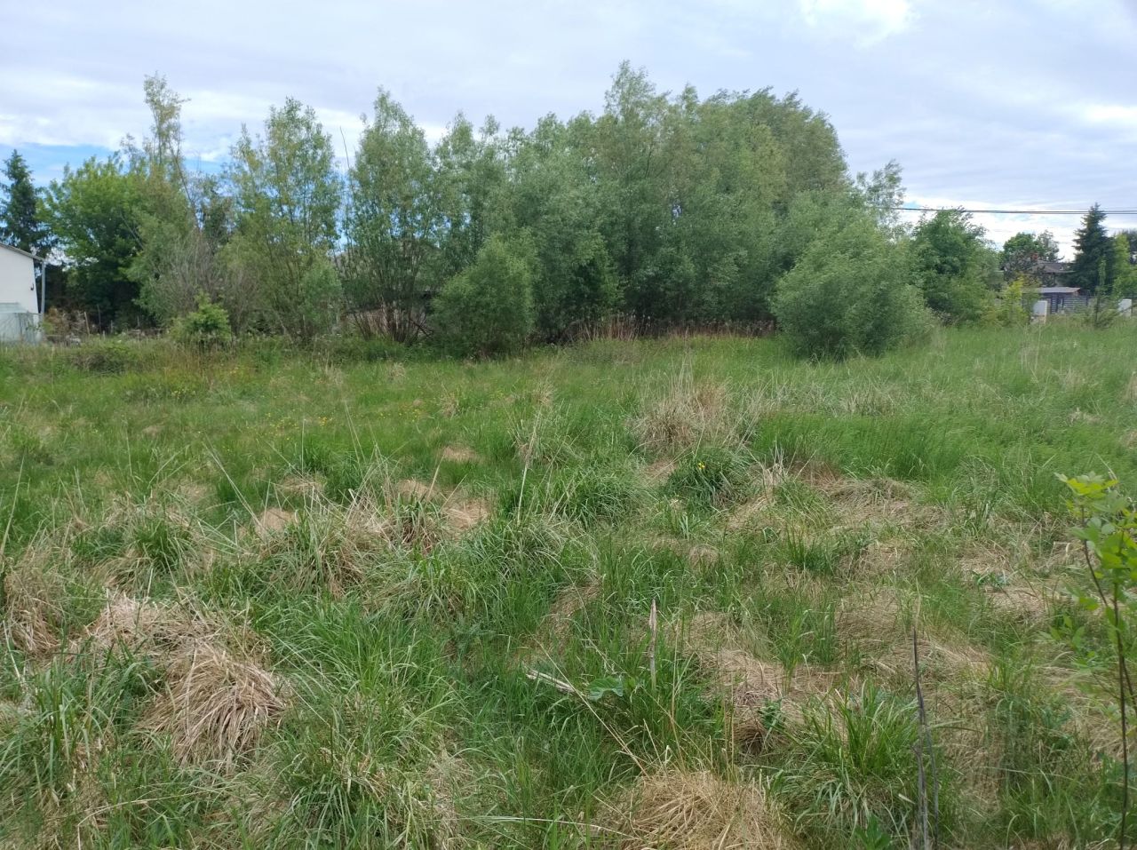 Działka budowlana Jaktorów-Kolonia. Zdjęcie 4