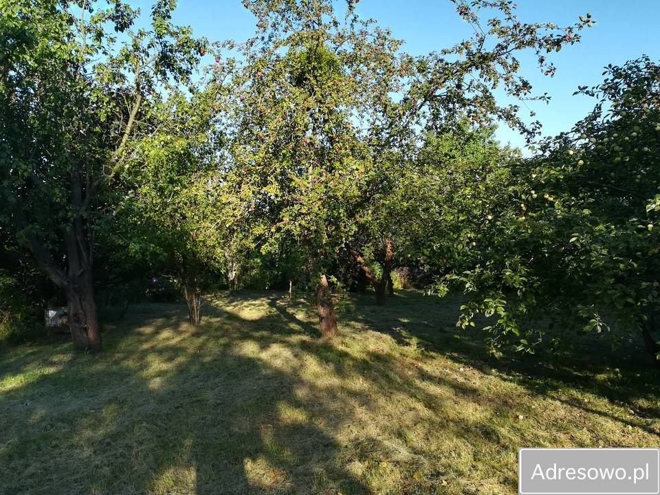 Działka rod Elbląg Krasny Las, ul. Fromborska. Zdjęcie 6