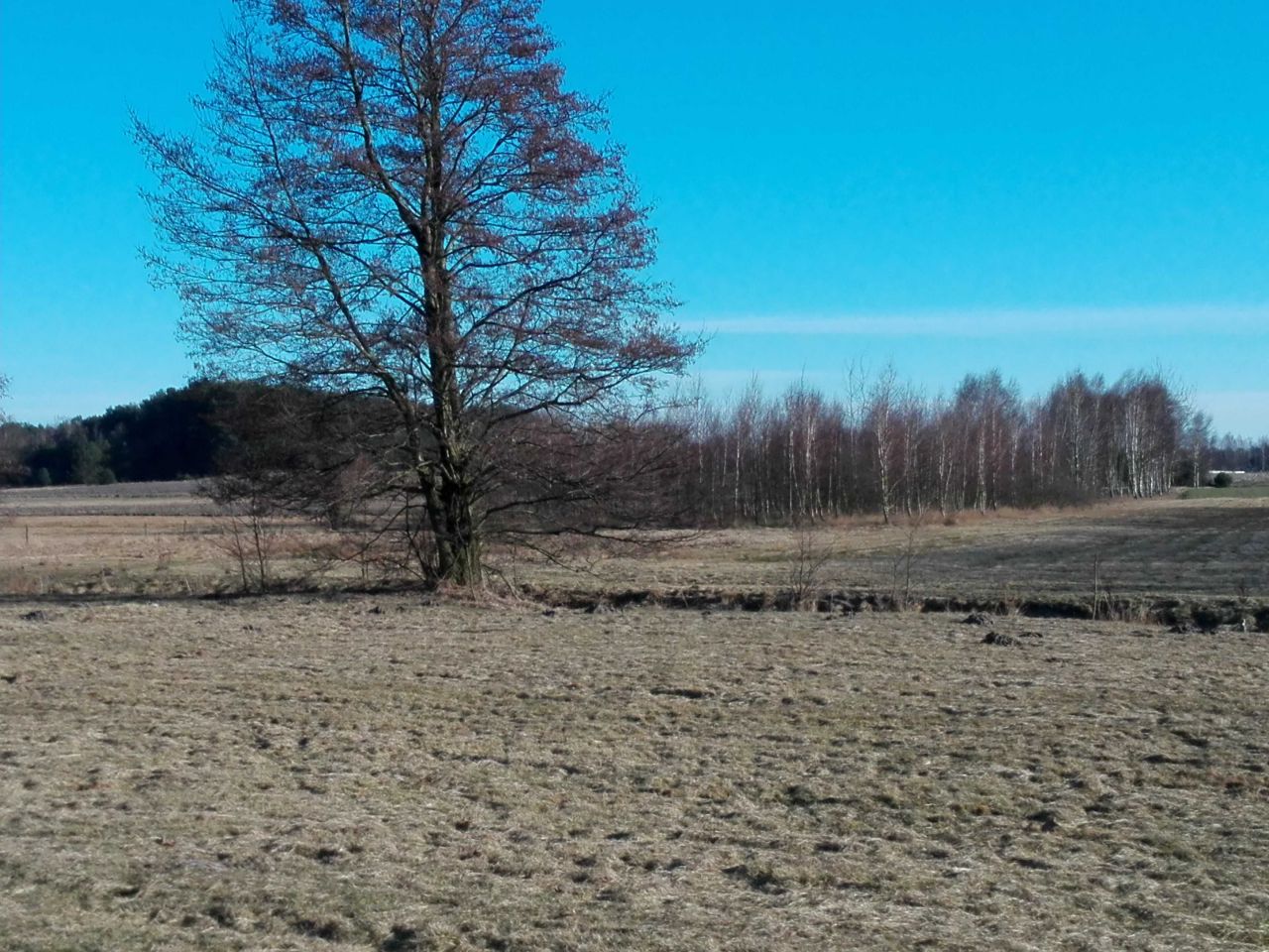 Działka inwestycyjna Ostrówek. Zdjęcie 5
