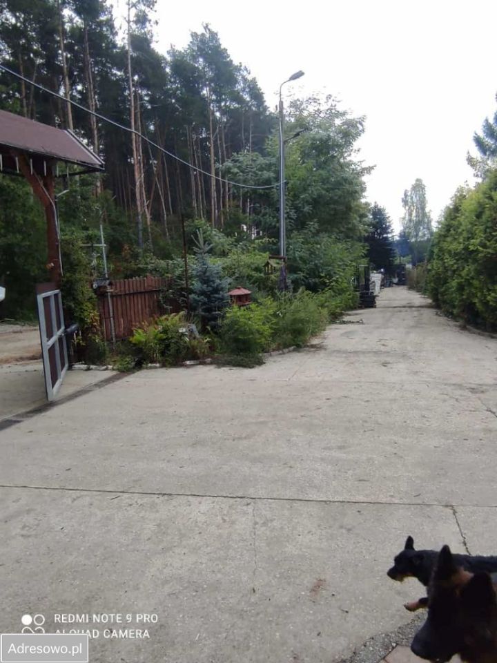 dom wolnostojący, 13 pokoi Bocheniec. Zdjęcie 6