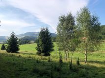 Działka budowlana Ludwikowice Kłodzkie, ul. Kolonia Jana Kasprowicza. Zdjęcie 1