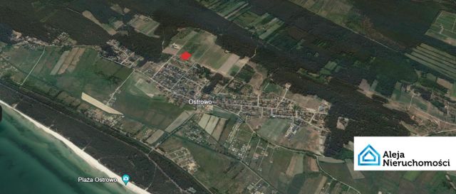 Działka Ostrowo. Zdjęcie 2