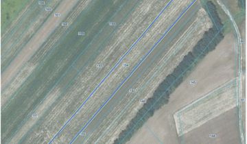 Działka rolna Grabie