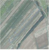 Działka rolna Grabie. Zdjęcie 1