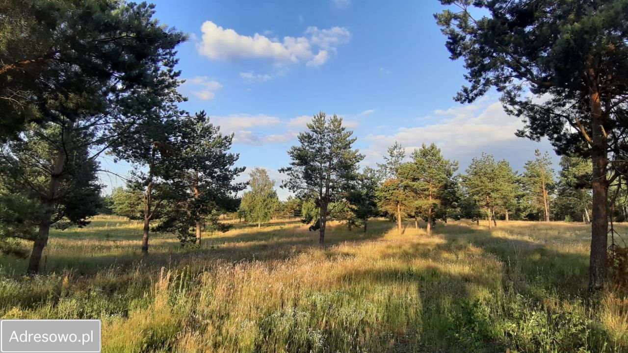 Działka budowlana Pojezierce. Zdjęcie 18