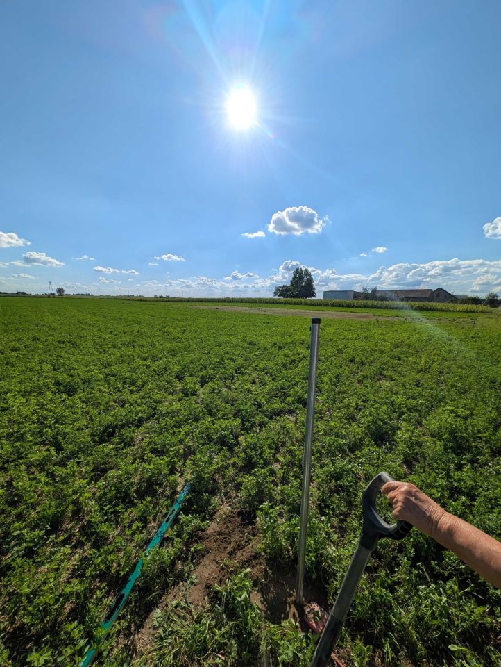 Działka budowlana Rzegnowo. Zdjęcie 3