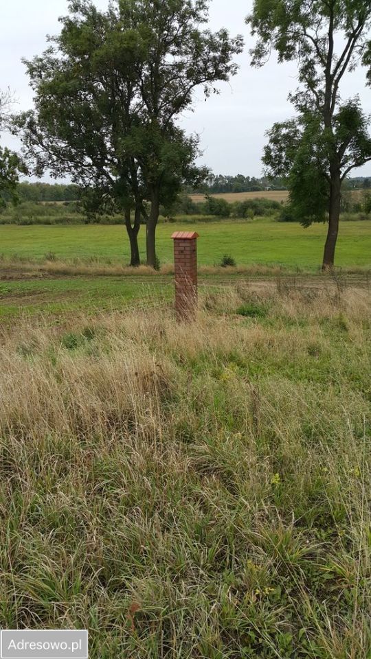 Działka budowlana Drzewianowo. Zdjęcie 2