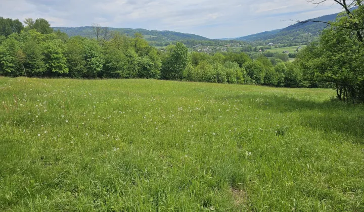 Działka rolno-budowlana Ropa