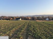 Działka budowlana Witoszów Dolny. Zdjęcie 4