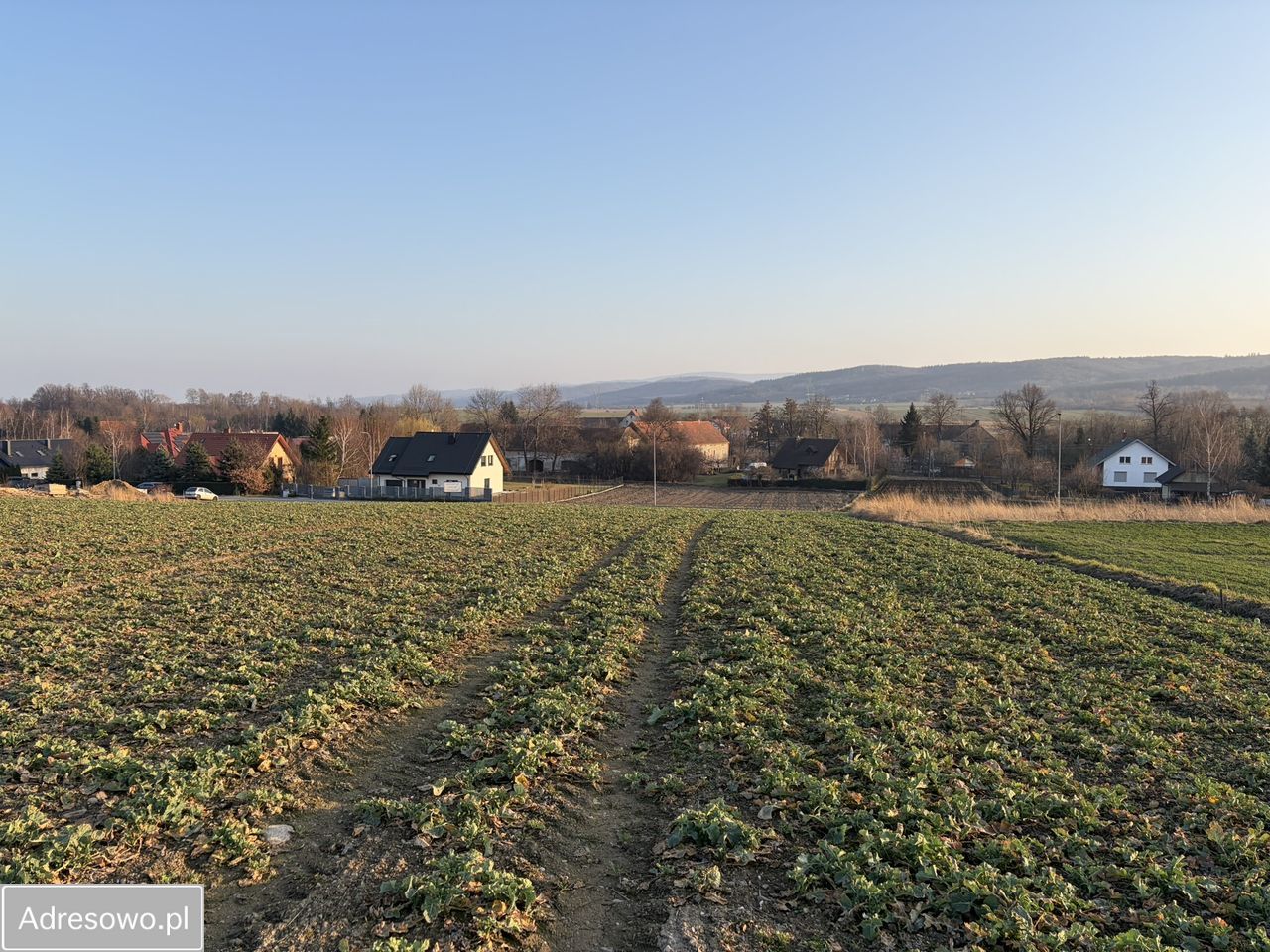 Działka budowlana Witoszów Dolny. Zdjęcie 5
