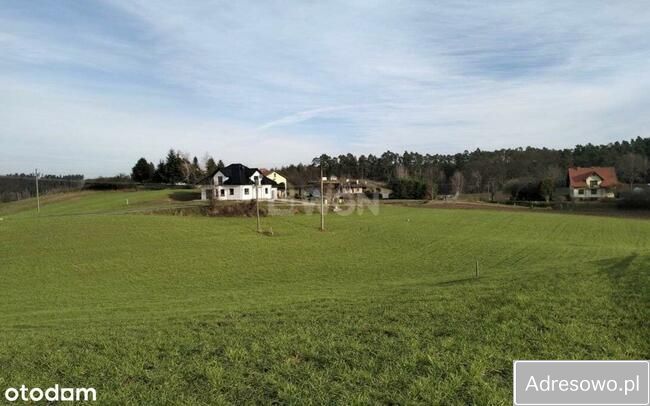 Działka budowlana Gaj-Grzmięca. Zdjęcie 11