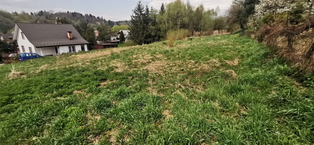 Działka rolno-budowlana Olszanica. Zdjęcie 2