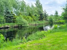 siedlisko, 3 pokoje Wyszebórz. Zdjęcie 3