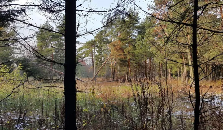 Działka budowlana Kamień, ul. Letniskowa