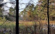 Działka budowlana Kamień, ul. Letniskowa