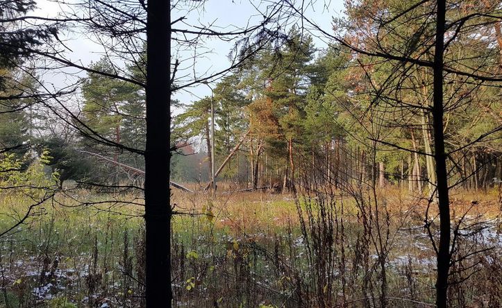 Działka budowlana Kamień, ul. Letniskowa