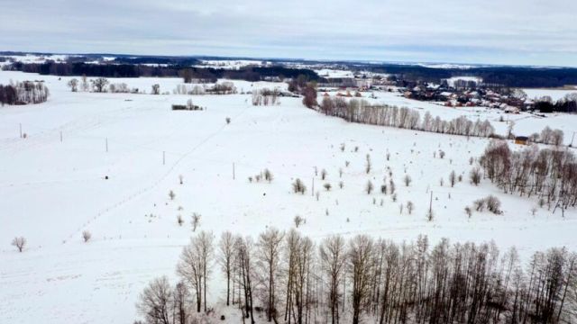 Działka budowlana Kozin. Zdjęcie 7