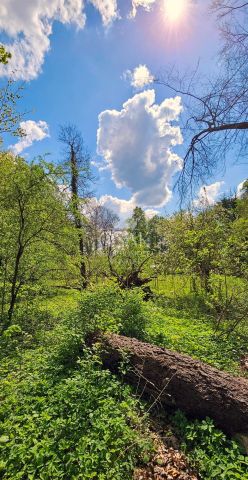 Działka Resko. Zdjęcie 4