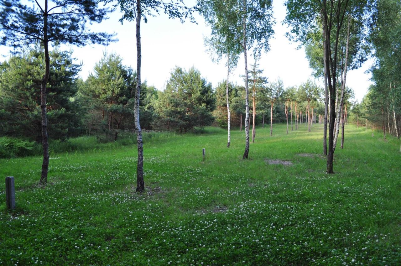 Działka budowlana Słopiec Rządowy-Kolonia. Zdjęcie 5