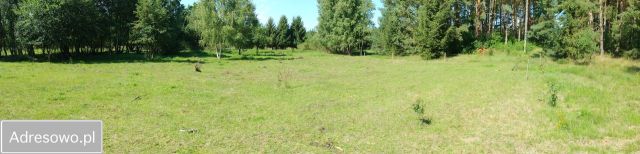 Działka rolna Zabierzewo. Zdjęcie 1