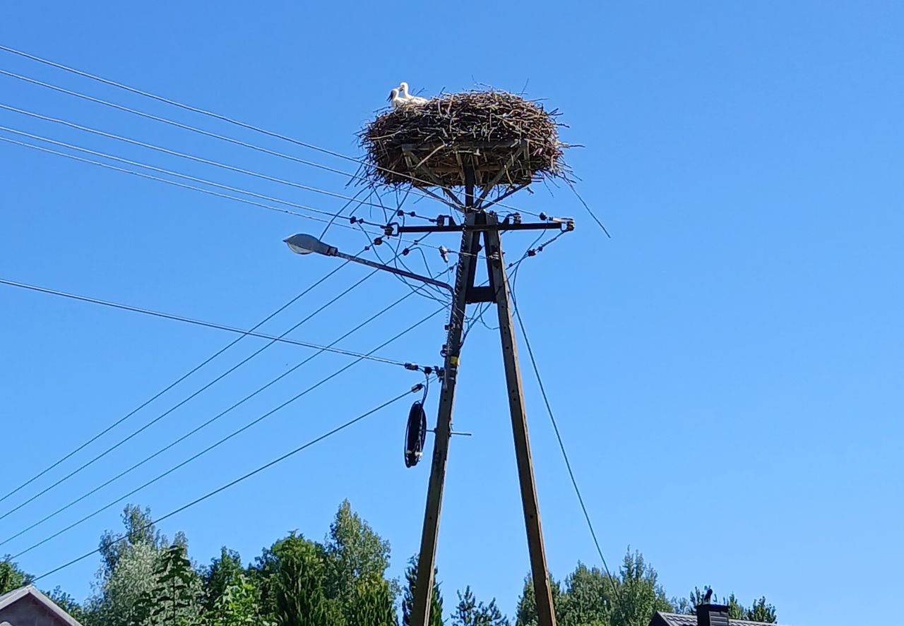 dom wolnostojący, 2 pokoje Buszków. Zdjęcie 16