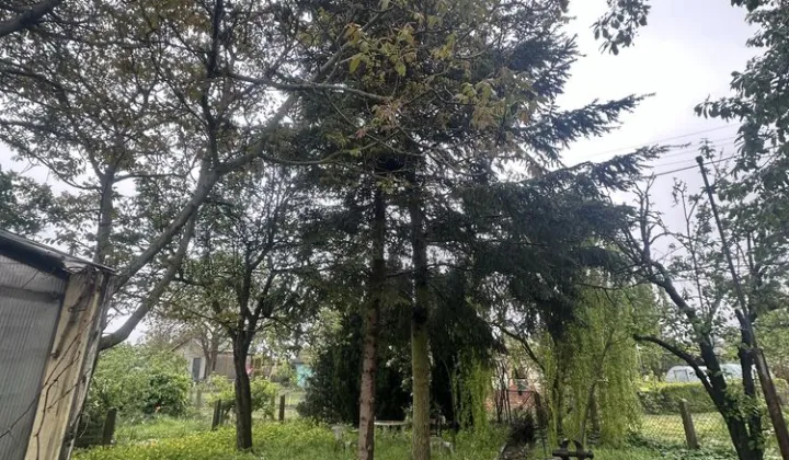 Działka rod Szczecin Pomorzany, ul. Przy Ogrodach