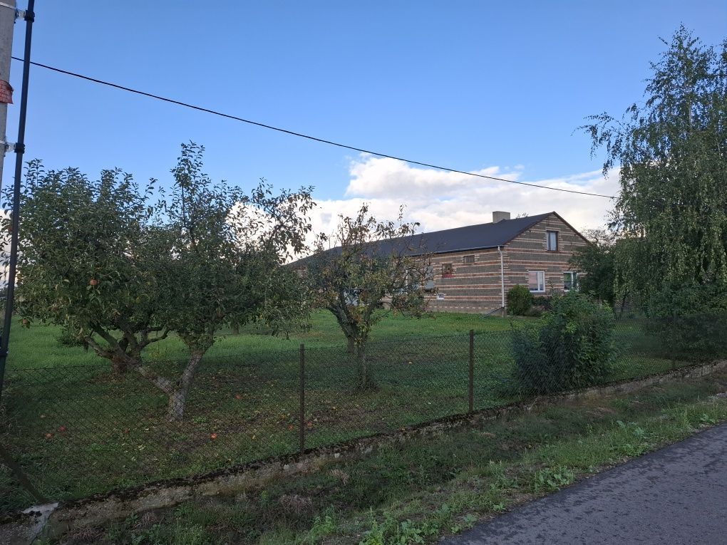 Działka rolna Krzyżanów. Zdjęcie 8