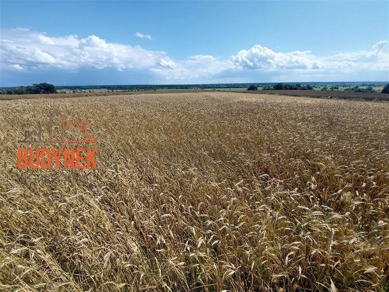 Działka rolna Kopnica. Zdjęcie 10