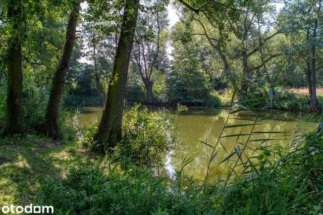 Działka rolno-budowlana Kiełpin, Przyrodnicza. Zdjęcie 1
