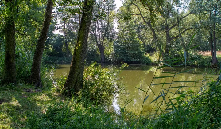 Działka rolno-budowlana Kiełpin, Przyrodnicza