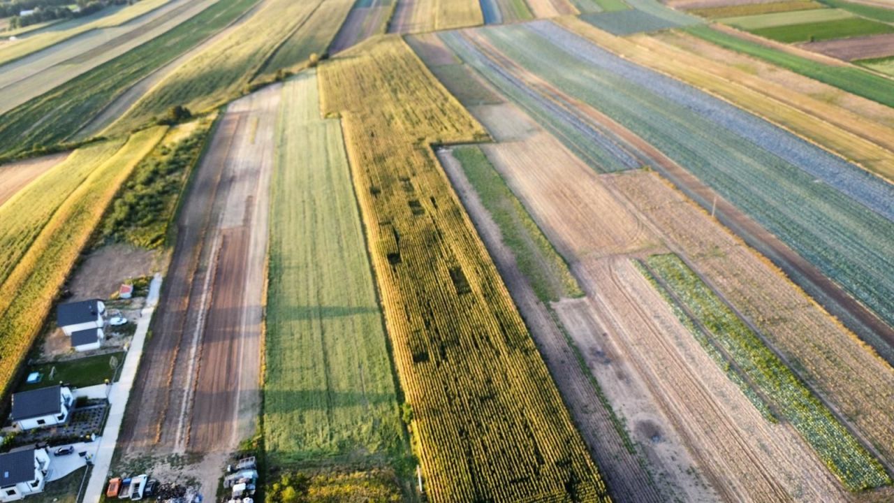 Działka rolno-budowlana Polekarcice. Zdjęcie 8