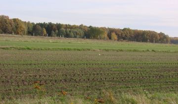 Działka budowlana Laskowice