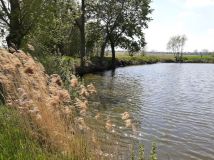 Działka rekreacyjna Kolonia Strzegocin. Zdjęcie 4