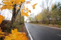 Działka budowlana Kamierowo. Zdjęcie 1