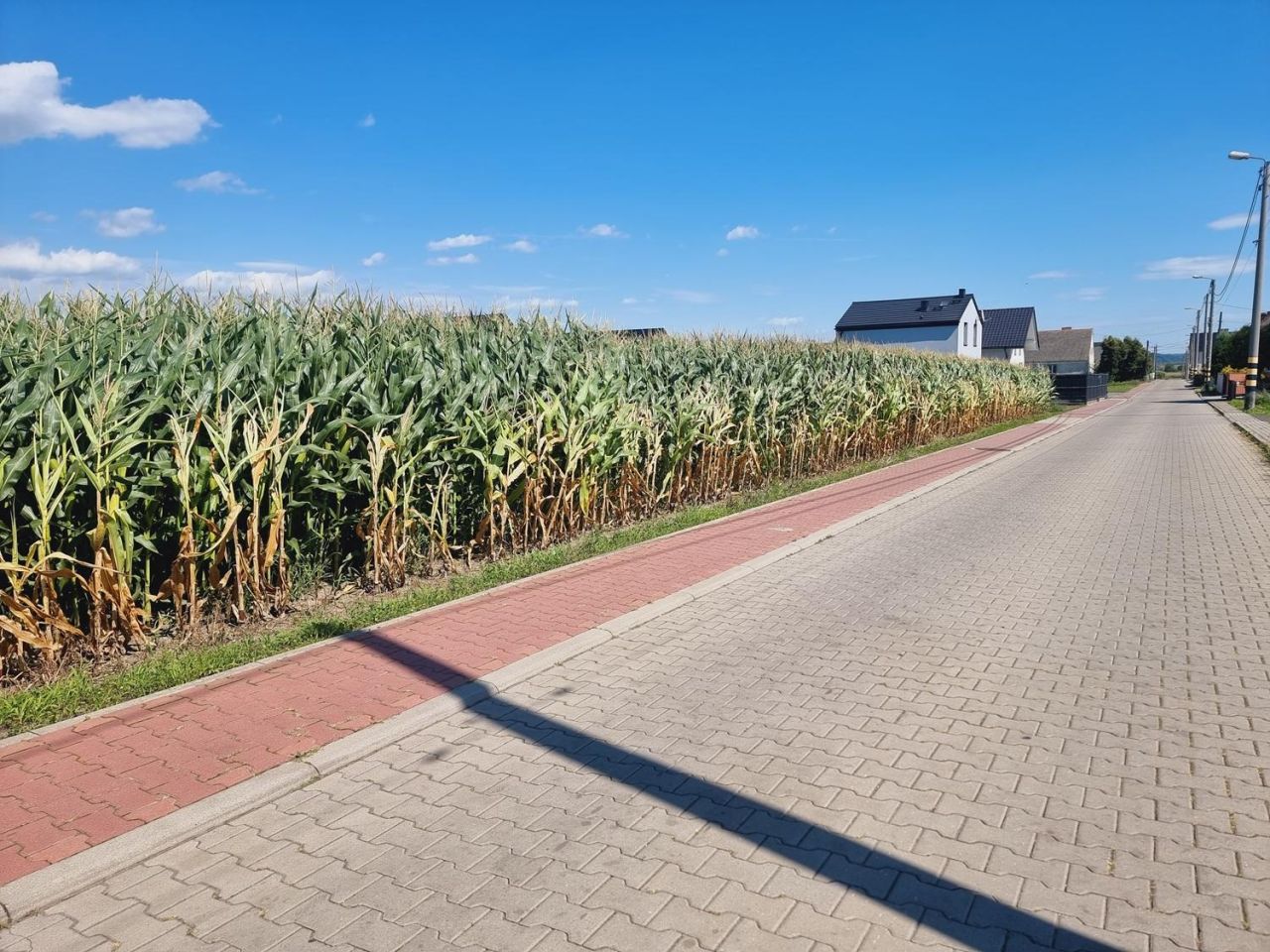 Działka budowlana Racibórz Studzienna, ul. Stanisława Moniuszki. Zdjęcie 4