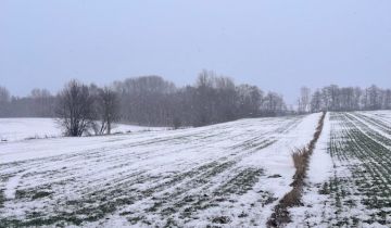 Działka budowlana Szczuczki