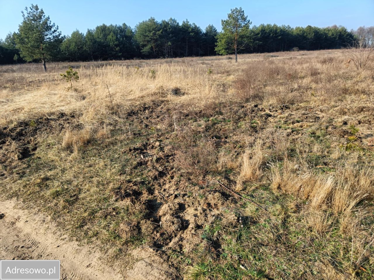 Działka rolna Olszewnica Nowa, ul. Spacerowa. Zdjęcie 9