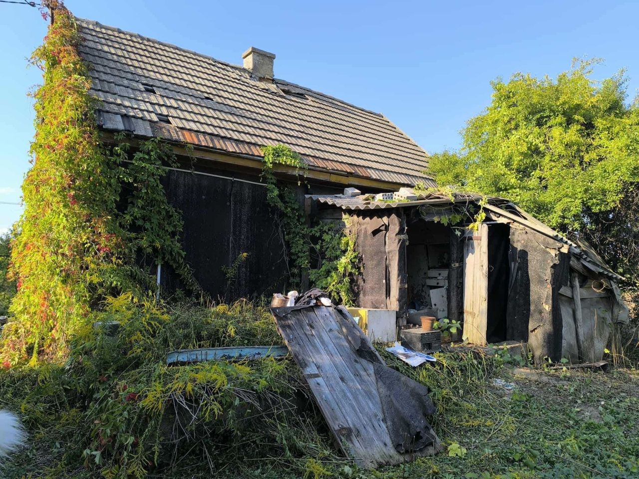 Działka rolno-budowlana Kalinówka Kościelna. Zdjęcie 3