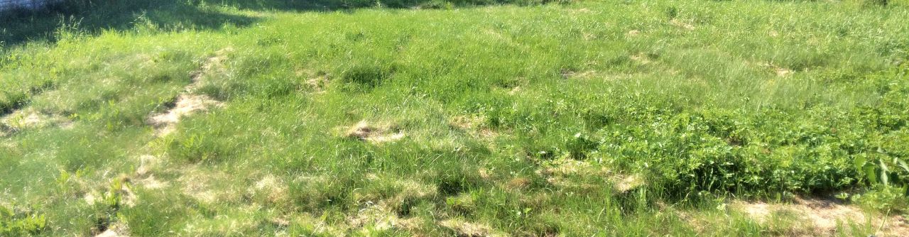 Działka budowlana Kolonia Bogoria. Zdjęcie 2