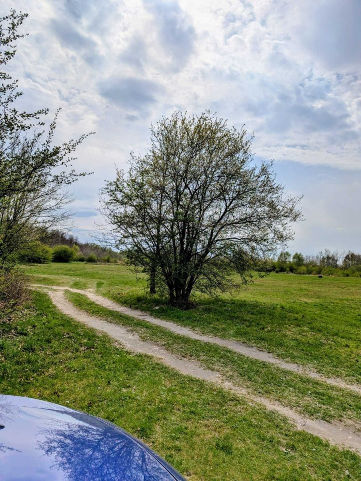 Działka rod Modlnica. Zdjęcie 4