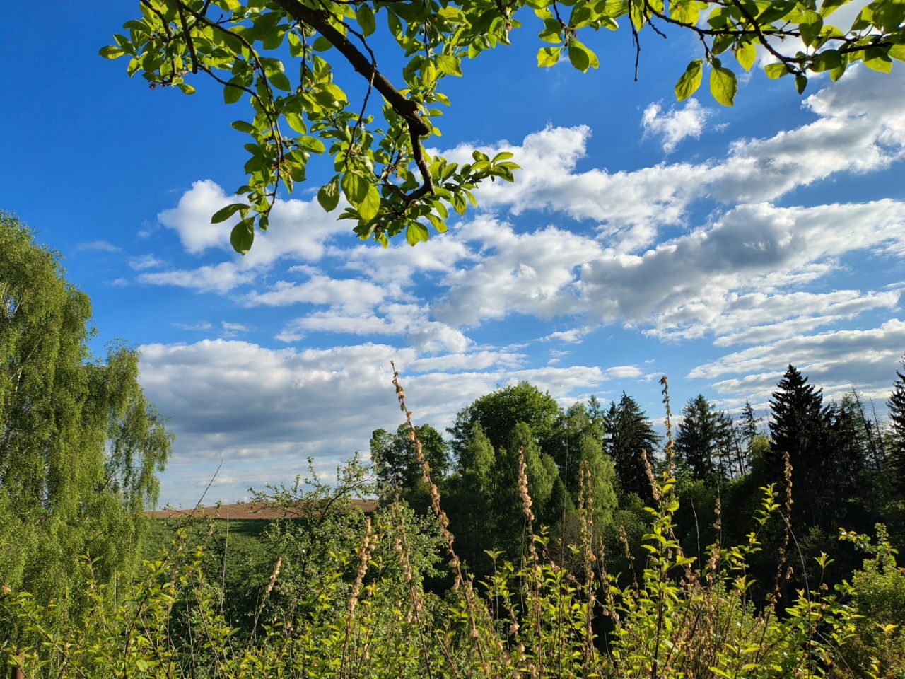 dom szeregowy, 6 pokoi Przygórze, brak ulic. Zdjęcie 24