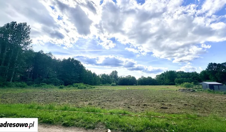 Działka budowlana Skrybicze