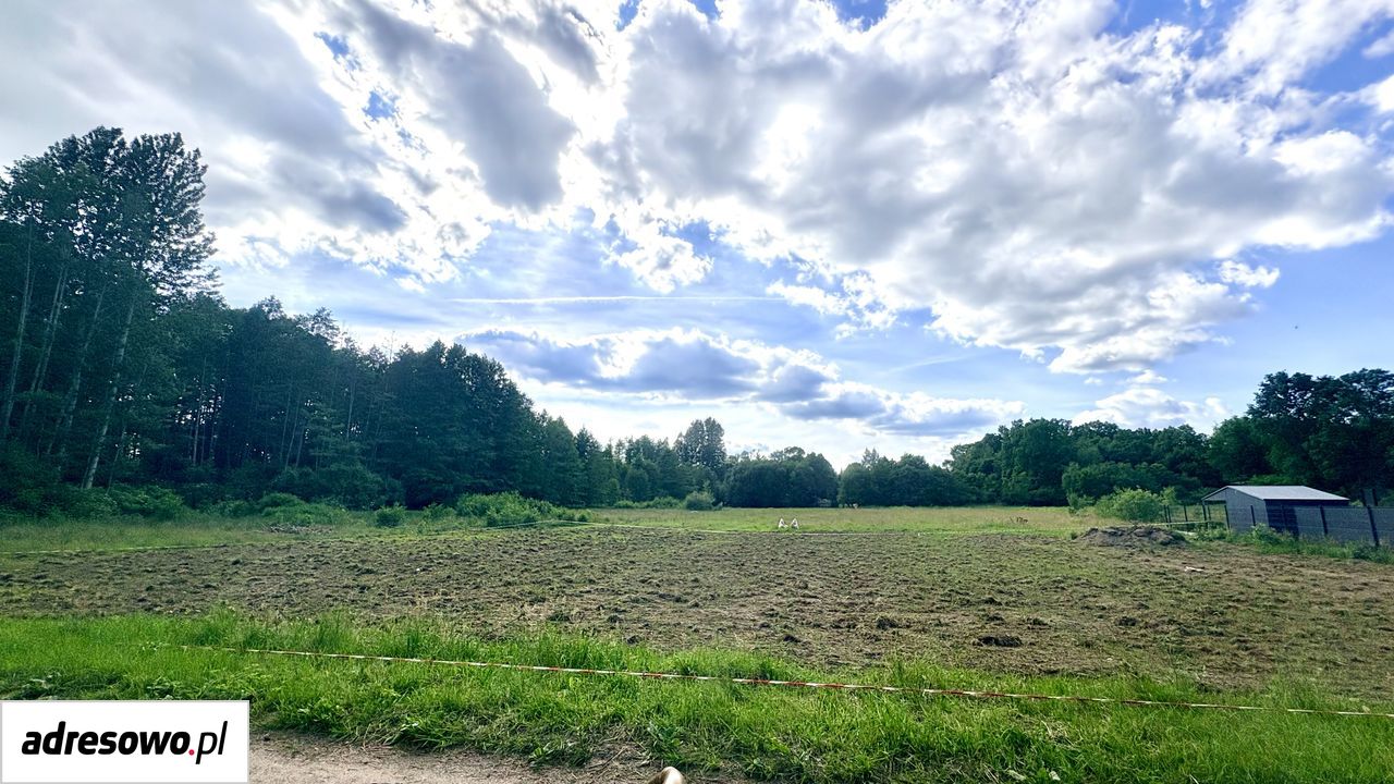Działka budowlana Skrybicze. Zdjęcie 1