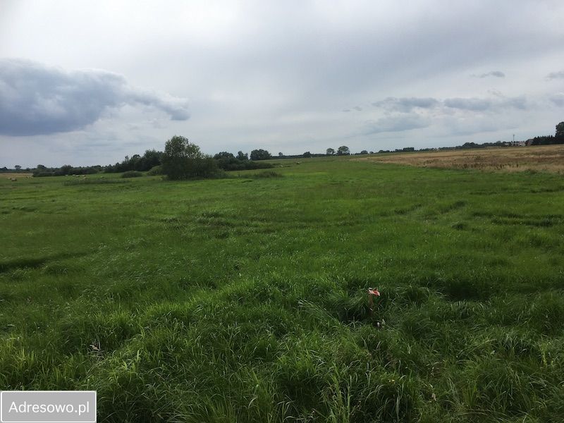 Działka rolna Niegoszcz. Zdjęcie 3