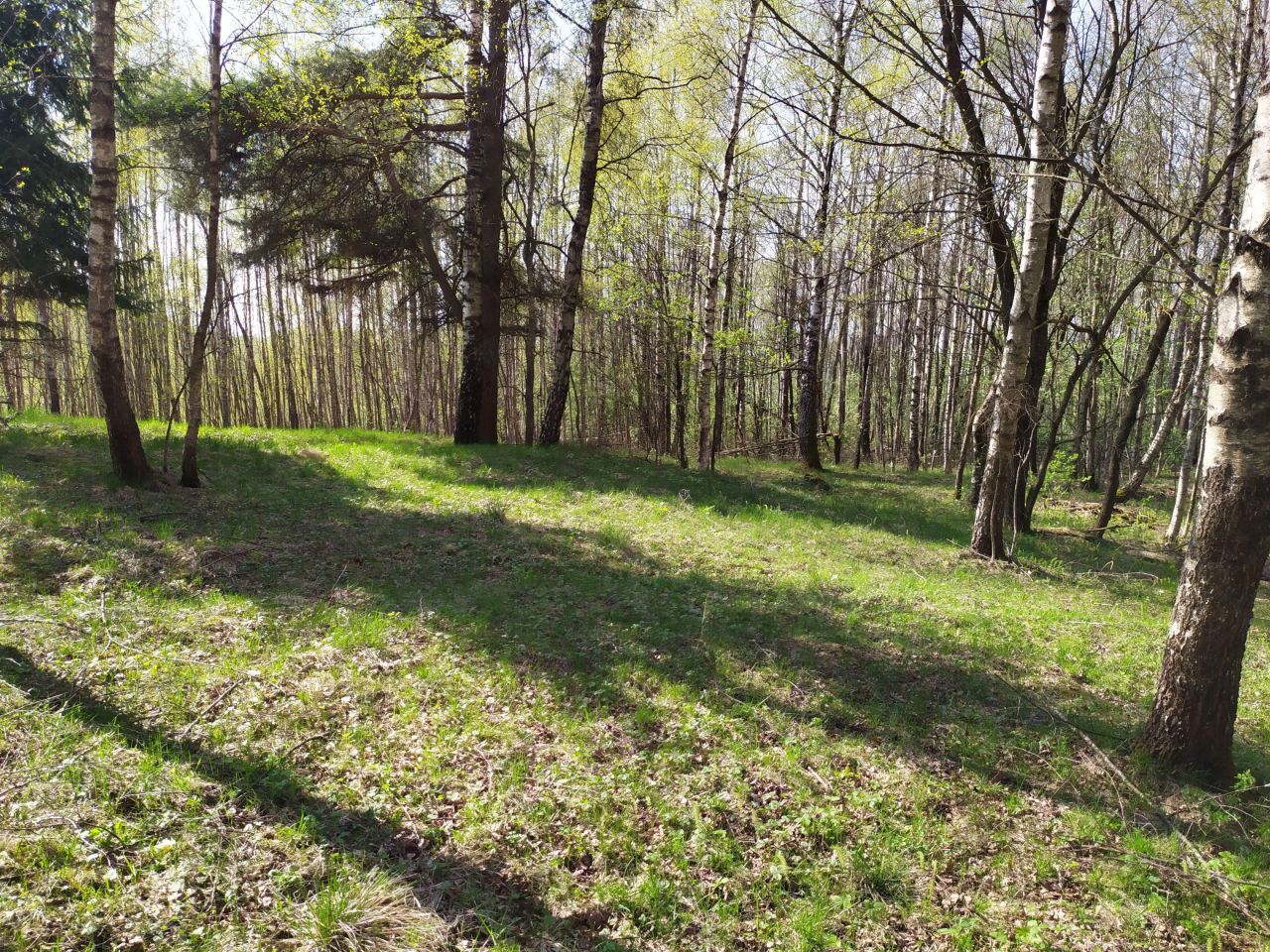 Działka rolna Użmauda. Zdjęcie 7