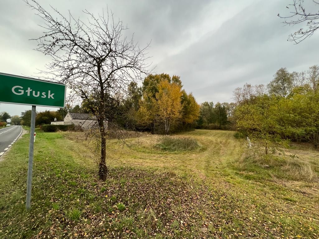 Działka rolno-budowlana Głusk. Zdjęcie 5