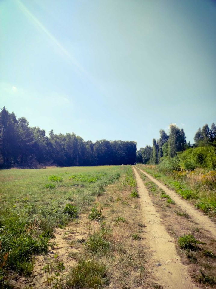 Działka budowlana Końskie, ul. Gimnazjalna. Zdjęcie 3