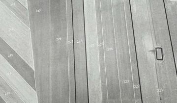 Działka rolna Topola Katowa