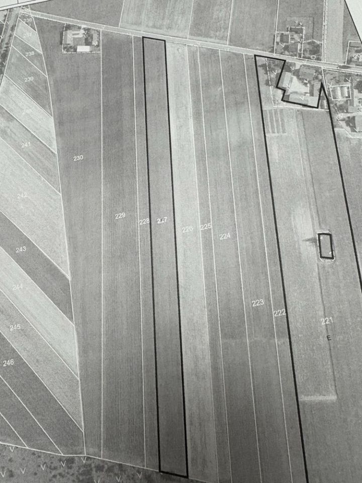 Działka rolna Topola Katowa